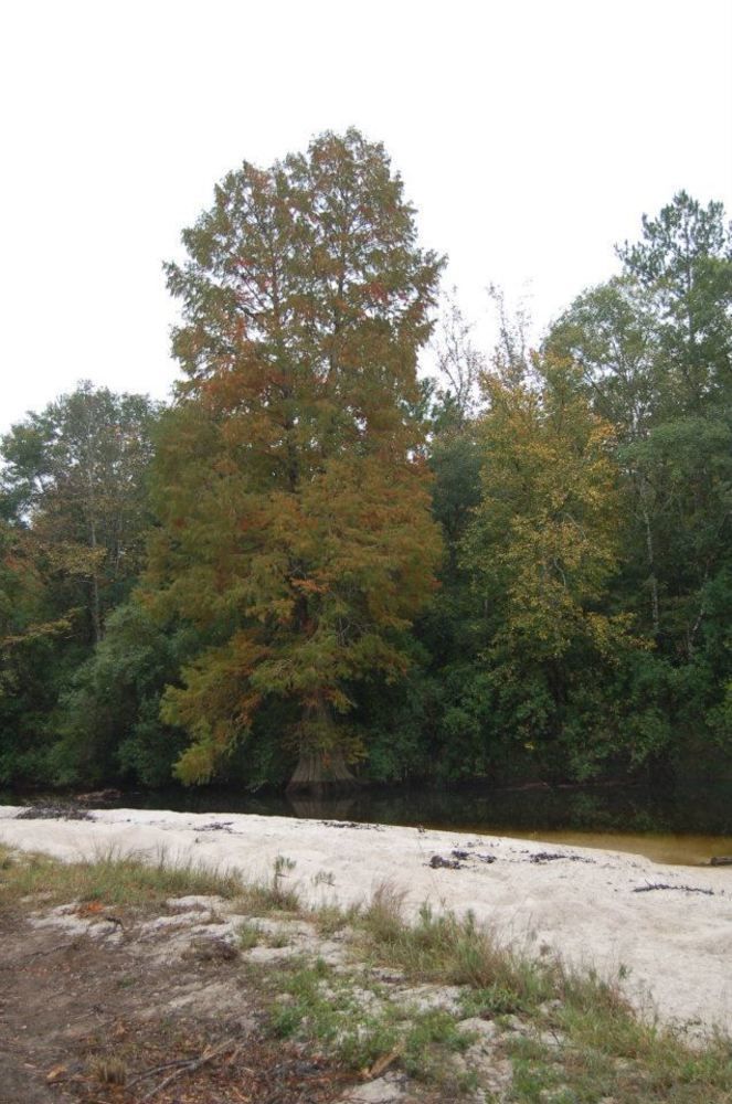 Tux Creek Inn Biloxi Luaran gambar